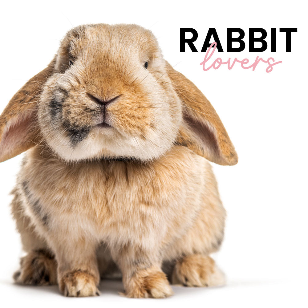 All rabbit products