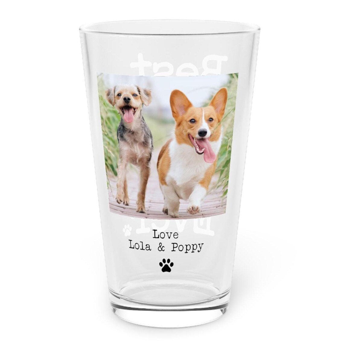 Best. Dog Dad. Ever. Pint Glass - Hi Doggi