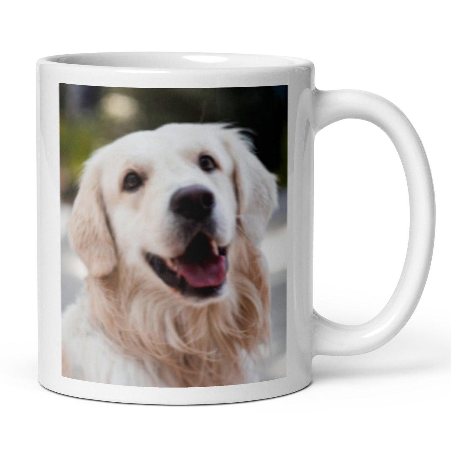 Best Grandpaw Photo Mug - Hi Doggi