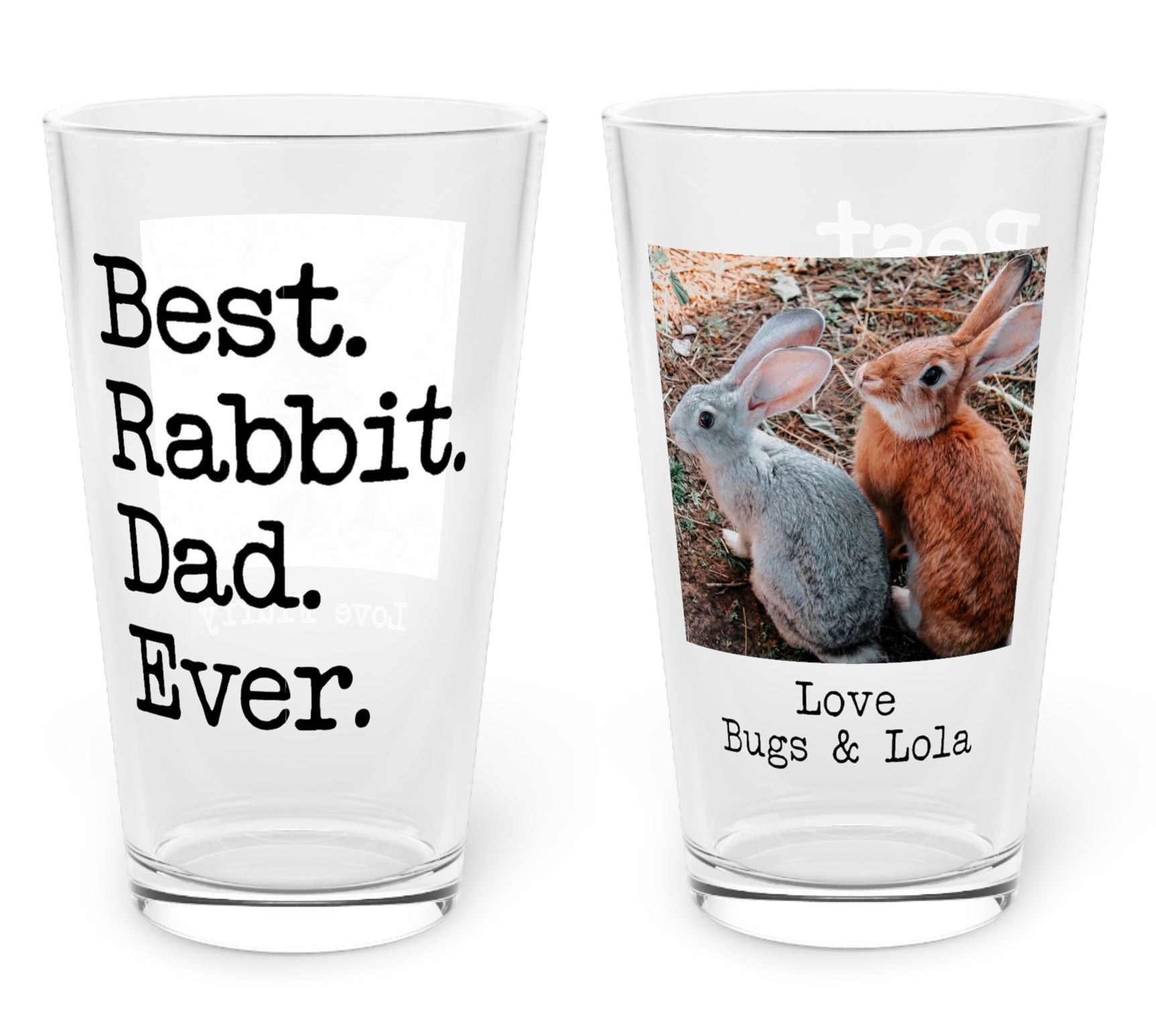 Best Rabbit Dad Pint Glass - Hi Doggi
