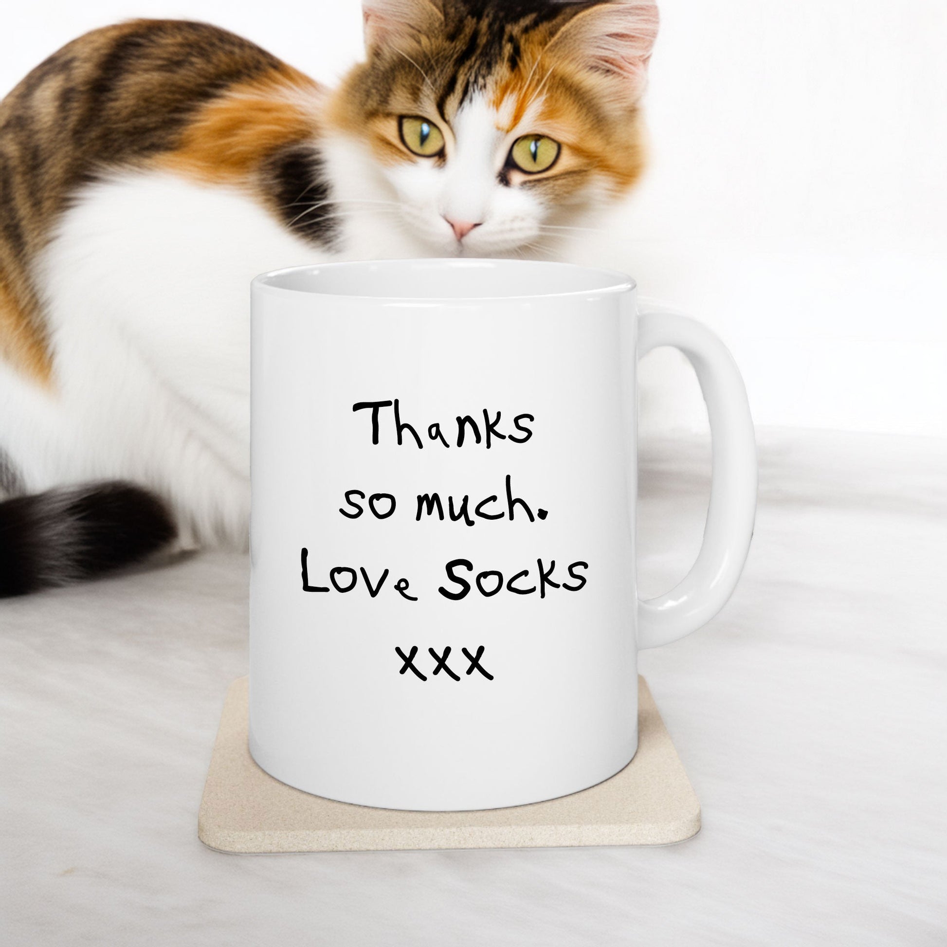 Cat Sitter Review Mug - Hi Doggi