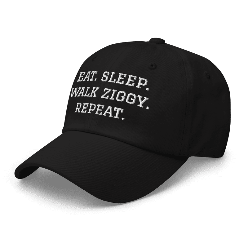 Custom Name Eat Sleep Walk Dog Cap - Hi Doggi