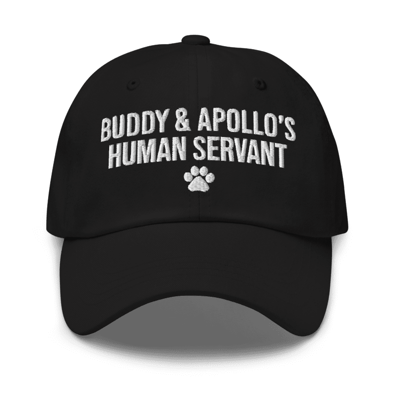 Custom Name Human Servant Cap - Hi Doggi