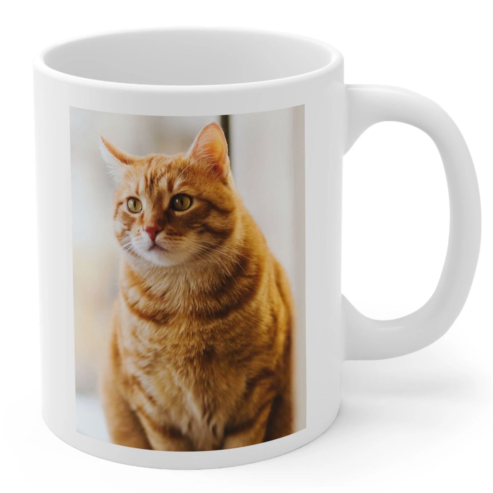 Grandpaw Definition Photo mug - Hi Doggi