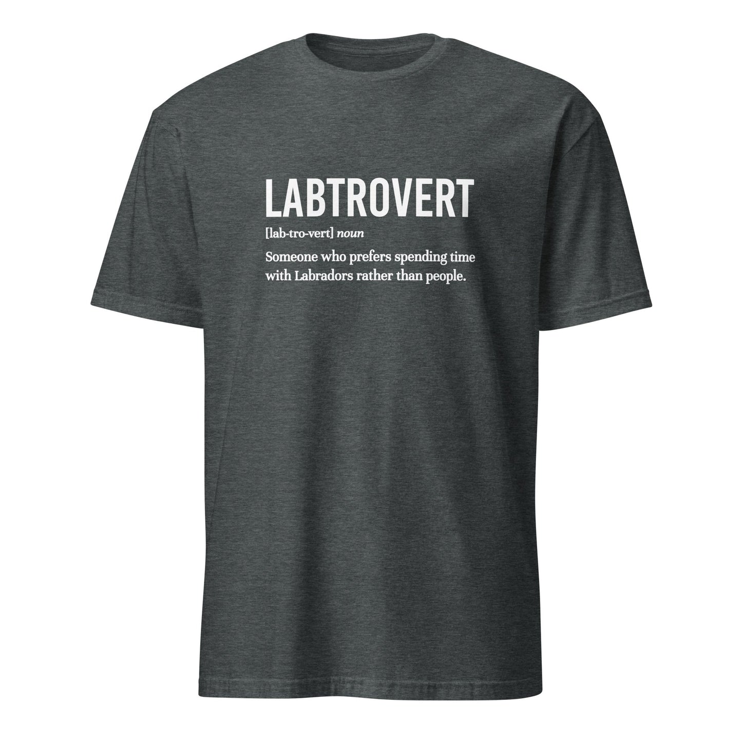 Labtrovert Shirt - Hi Doggi