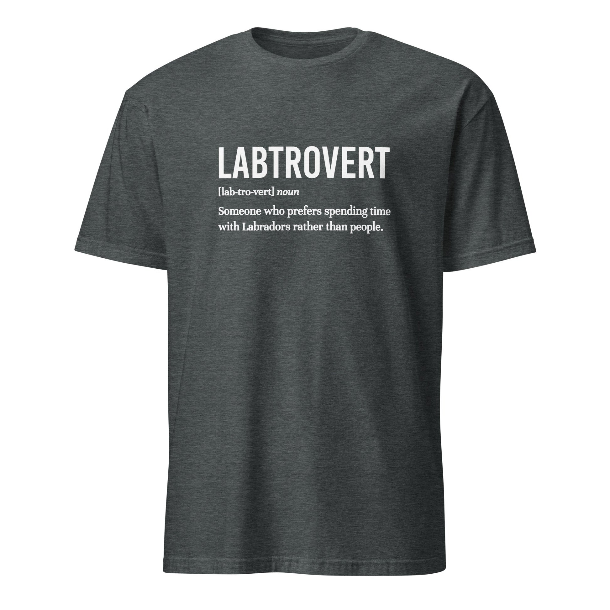 Labtrovert Shirt - Hi Doggi