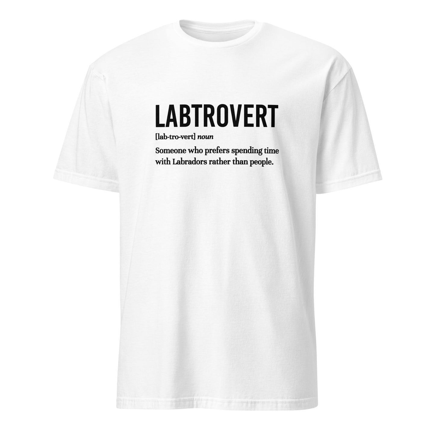 Labtrovert Shirt - Hi Doggi